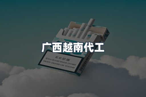 广西越南代工